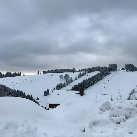 Moderne - Lage Nahe Skigebiet & Wanderwegen Appartement Sankt-Andreasberg